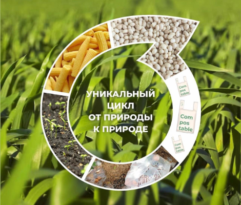 find your best healthy food