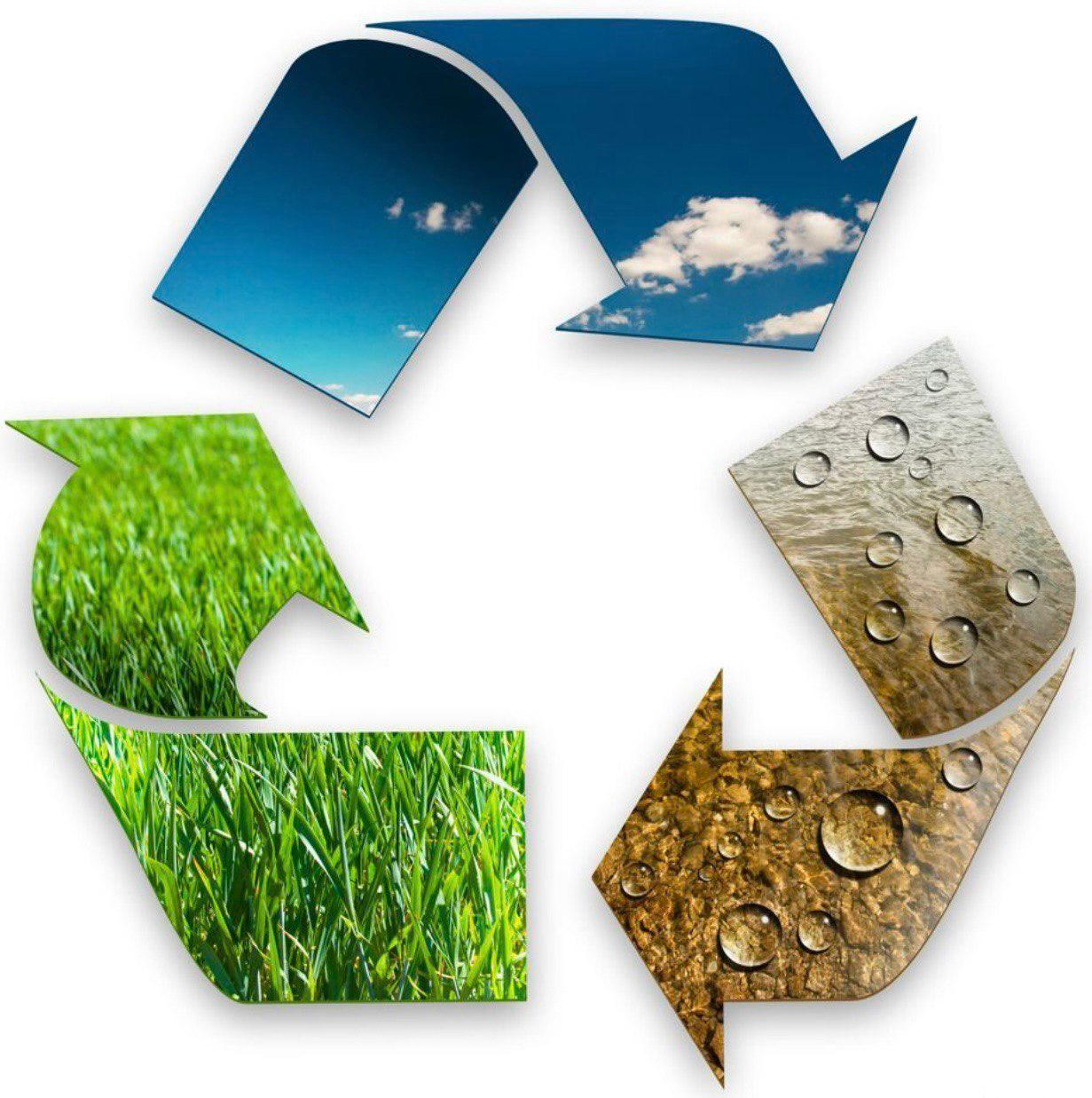 home delivery dishes